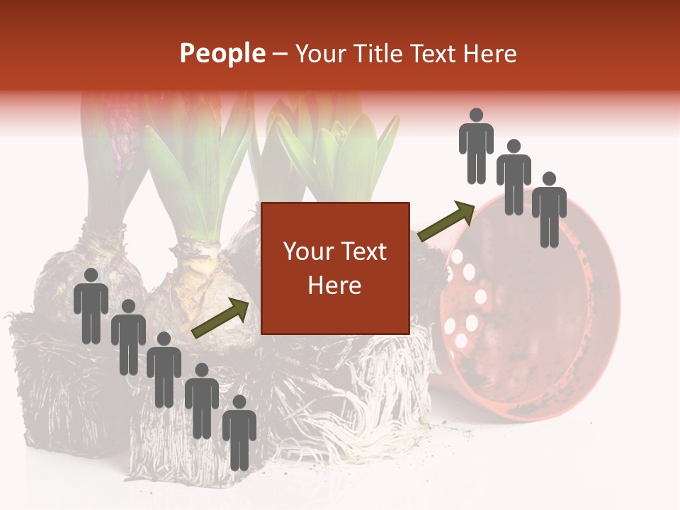 Concept Dirt Young PowerPoint Template