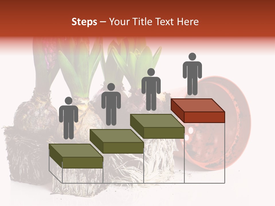 Concept Dirt Young PowerPoint Template