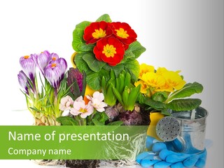 Blue Earth Gardening PowerPoint Template