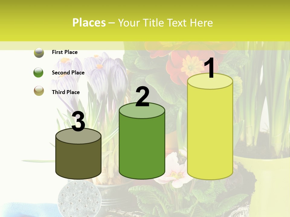 Red Plant Narcissus PowerPoint Template