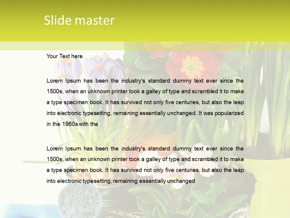 Red Plant Narcissus PowerPoint Template