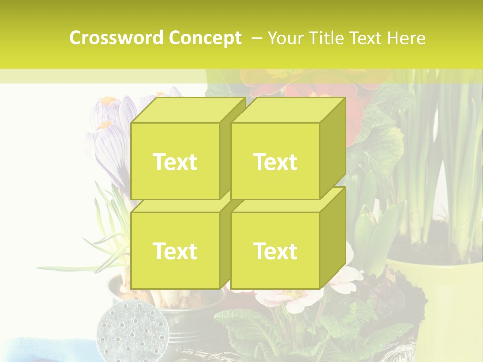 Red Plant Narcissus PowerPoint Template