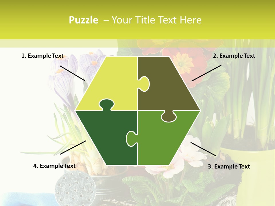 Red Plant Narcissus PowerPoint Template