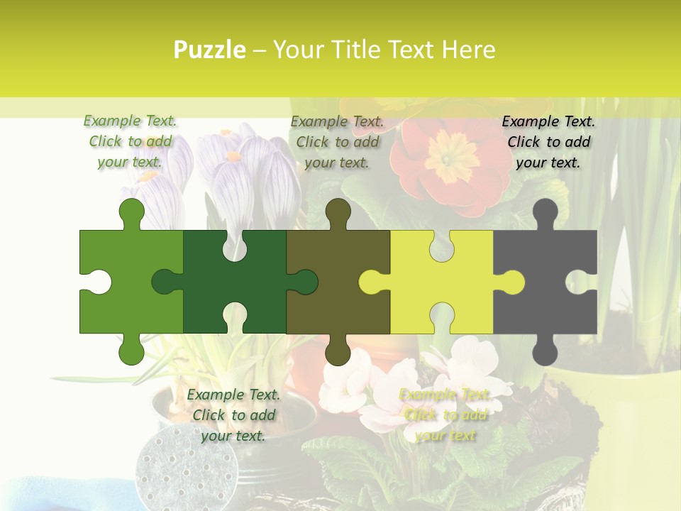 Red Plant Narcissus PowerPoint Template