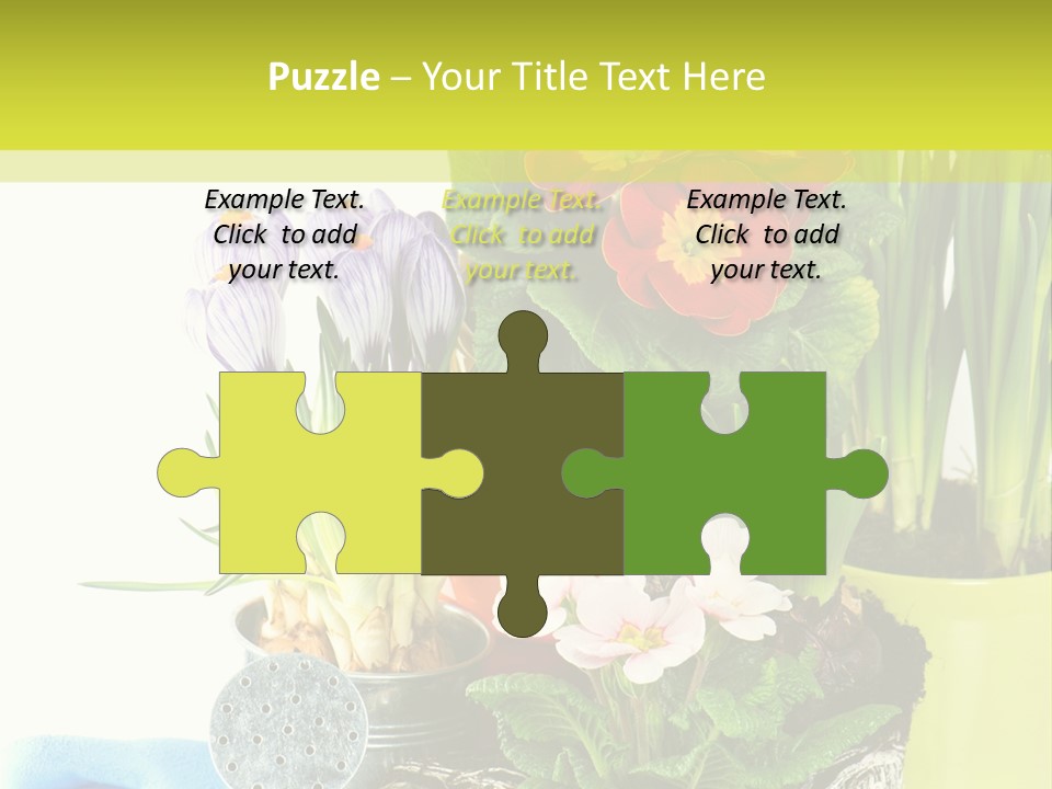 Red Plant Narcissus PowerPoint Template