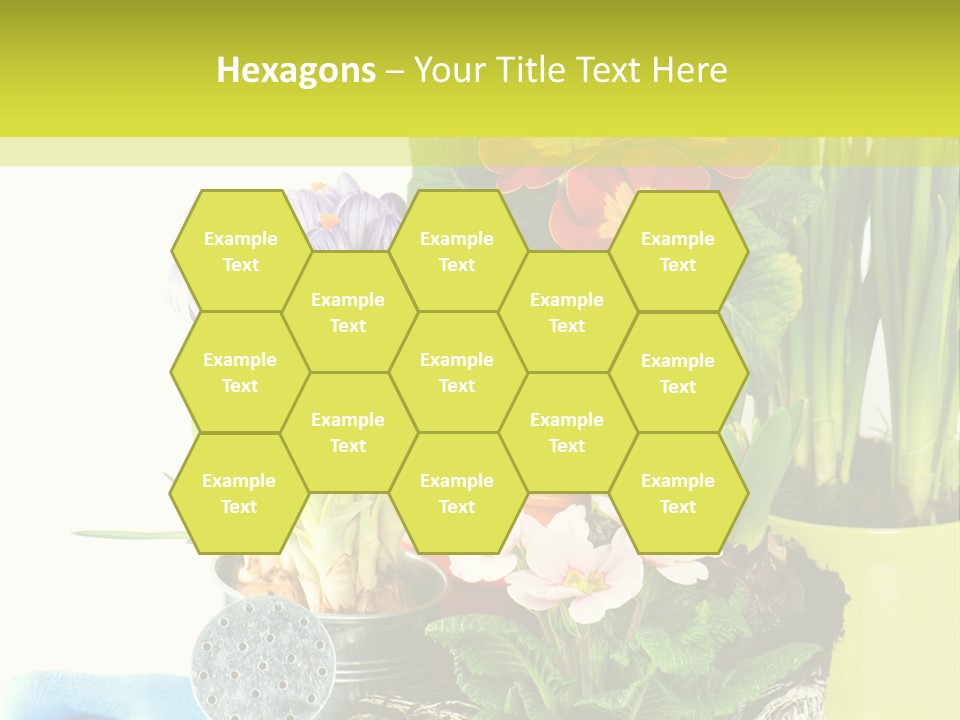 Red Plant Narcissus PowerPoint Template