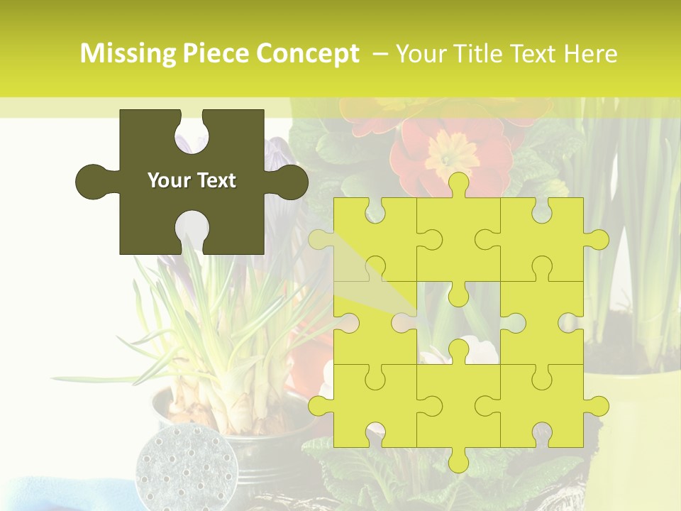 Red Plant Narcissus PowerPoint Template