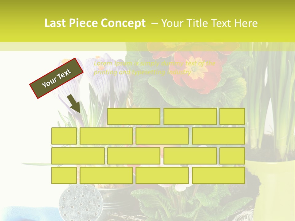 Red Plant Narcissus PowerPoint Template