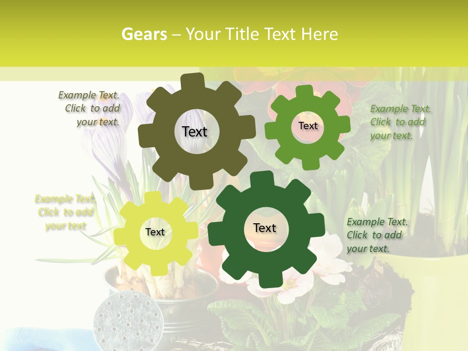 Red Plant Narcissus PowerPoint Template