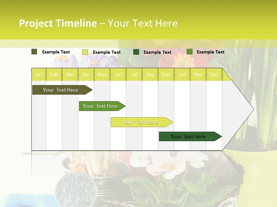 Red Plant Narcissus PowerPoint Template