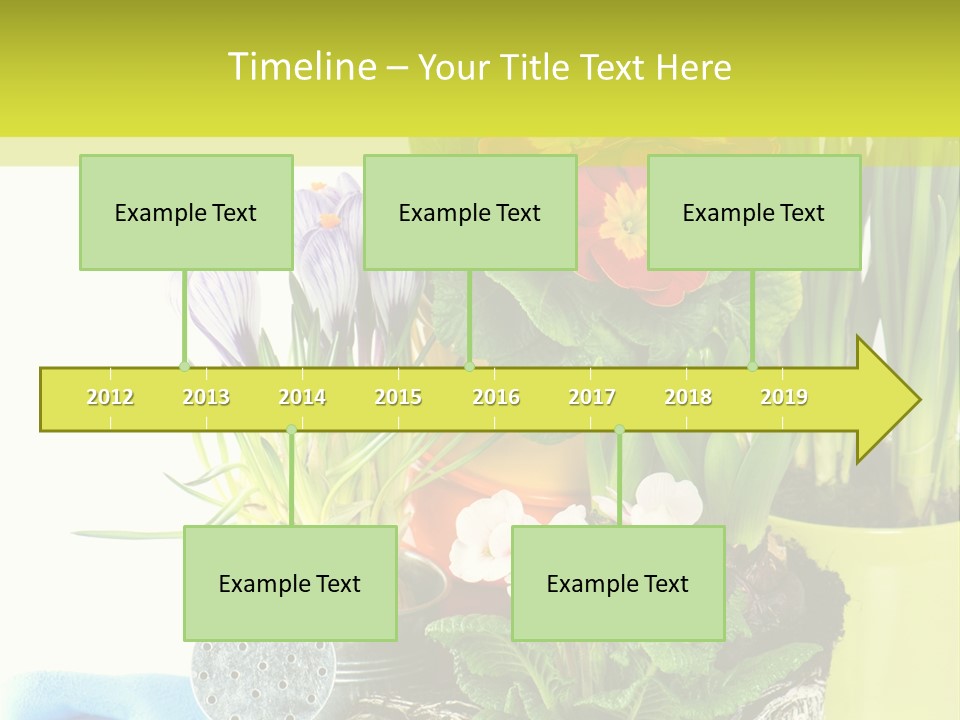 Red Plant Narcissus PowerPoint Template