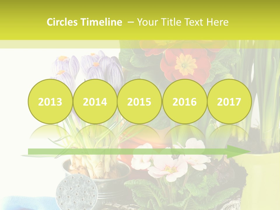 Red Plant Narcissus PowerPoint Template