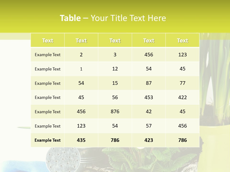 Red Plant Narcissus PowerPoint Template