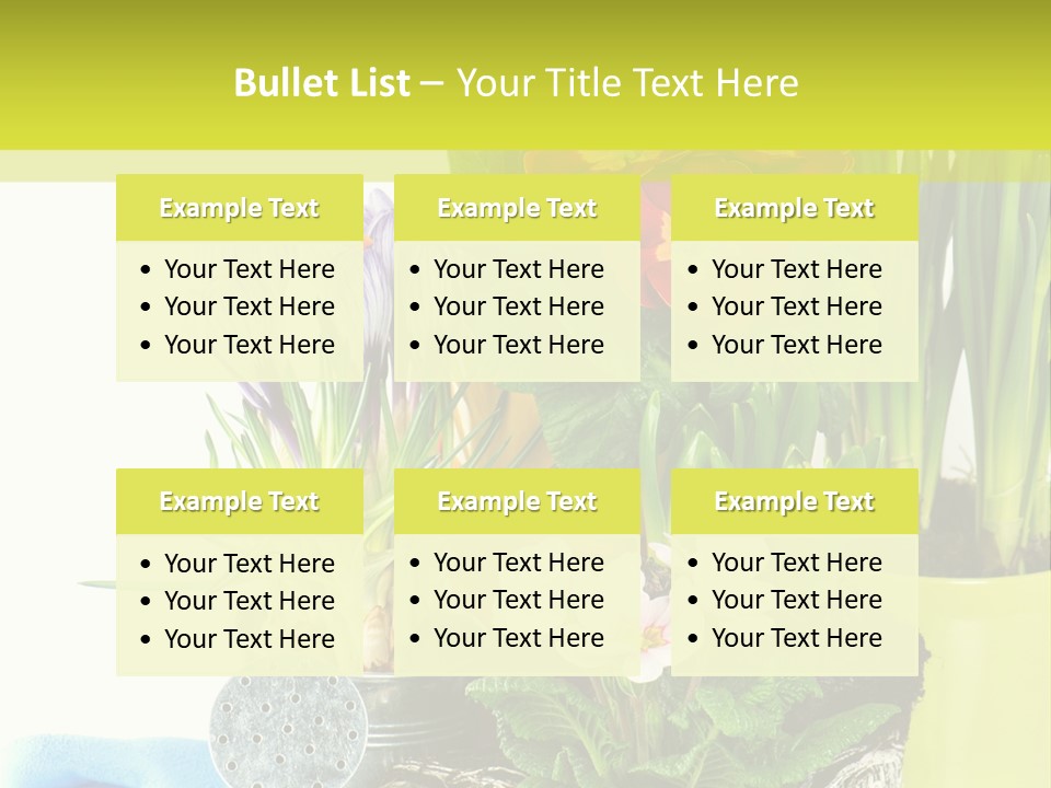 Red Plant Narcissus PowerPoint Template