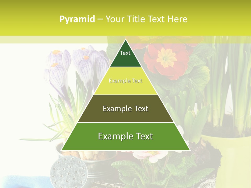 Red Plant Narcissus PowerPoint Template