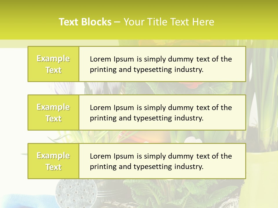 Red Plant Narcissus PowerPoint Template