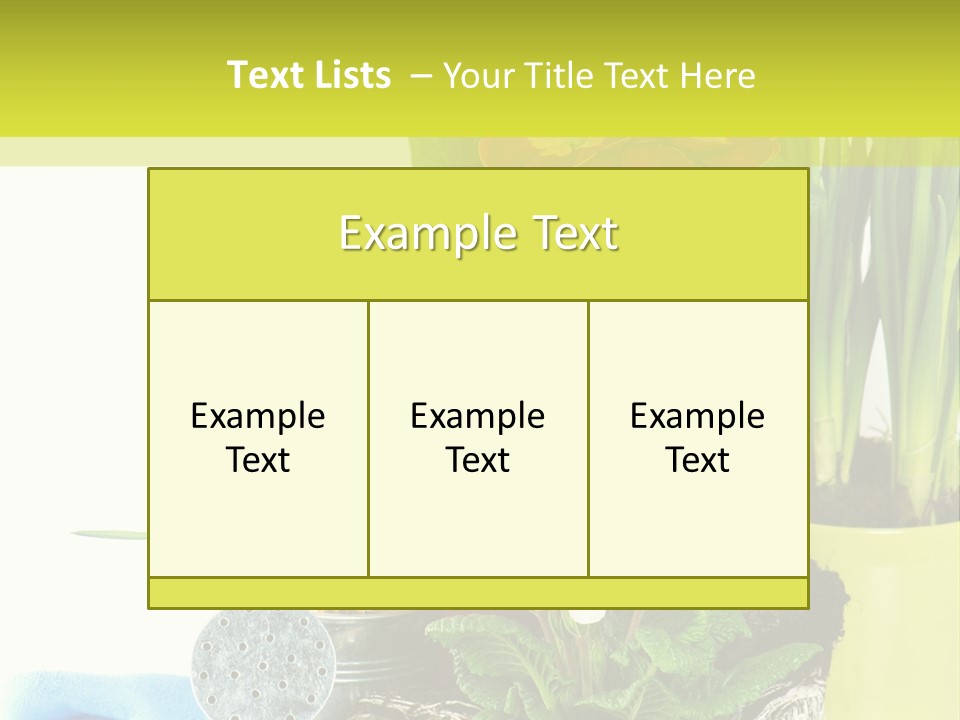 Red Plant Narcissus PowerPoint Template