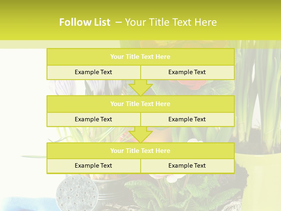 Red Plant Narcissus PowerPoint Template