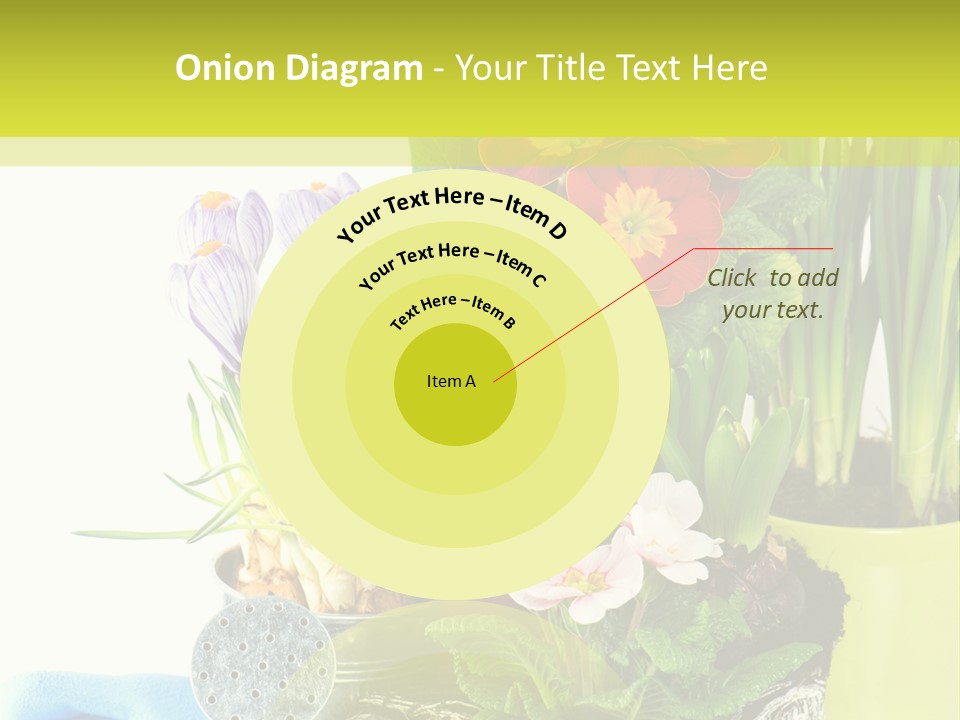 Red Plant Narcissus PowerPoint Template