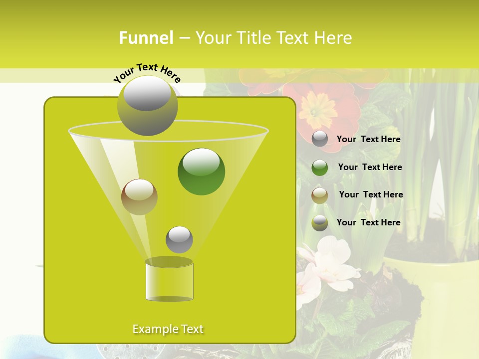 Red Plant Narcissus PowerPoint Template