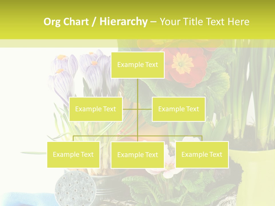 Red Plant Narcissus PowerPoint Template