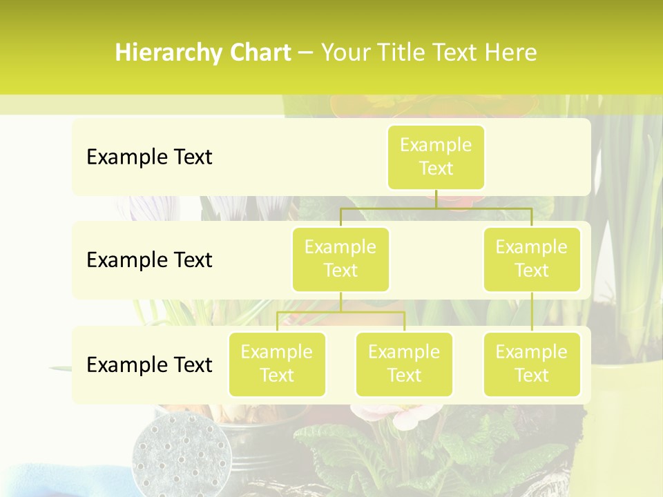 Red Plant Narcissus PowerPoint Template