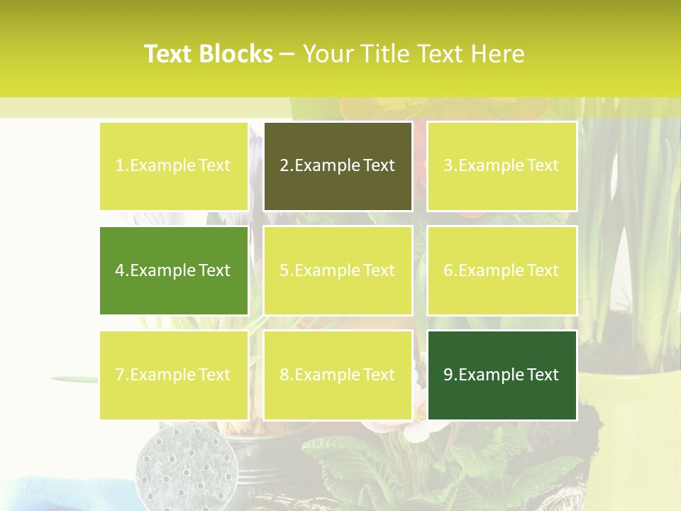 Red Plant Narcissus PowerPoint Template