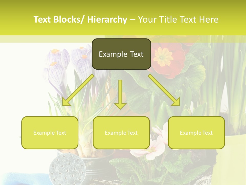 Red Plant Narcissus PowerPoint Template