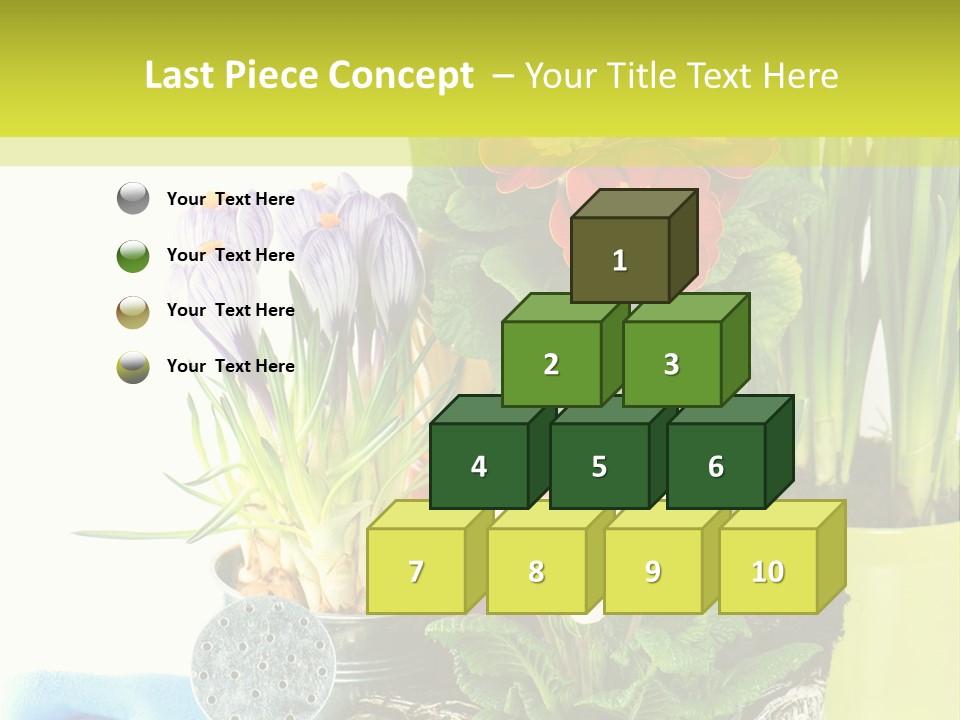 Red Plant Narcissus PowerPoint Template