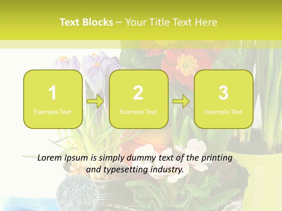 Red Plant Narcissus PowerPoint Template