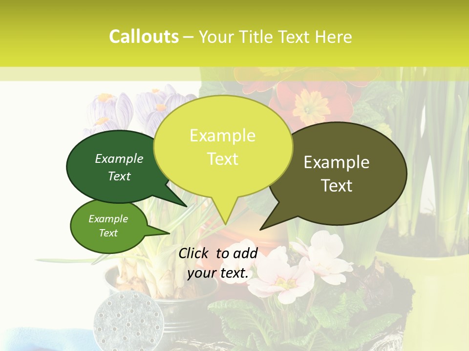 Red Plant Narcissus PowerPoint Template