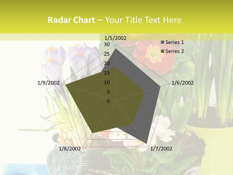 Red Plant Narcissus PowerPoint Template