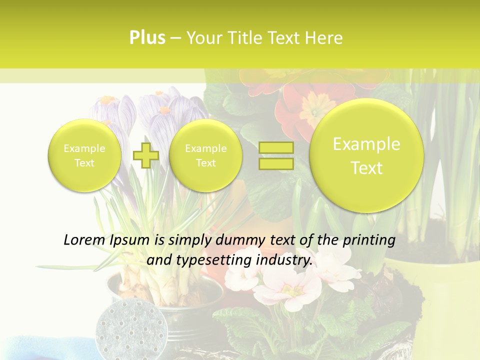 Red Plant Narcissus PowerPoint Template