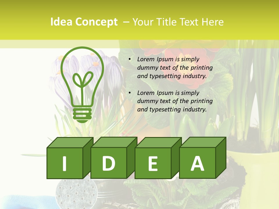 Red Plant Narcissus PowerPoint Template