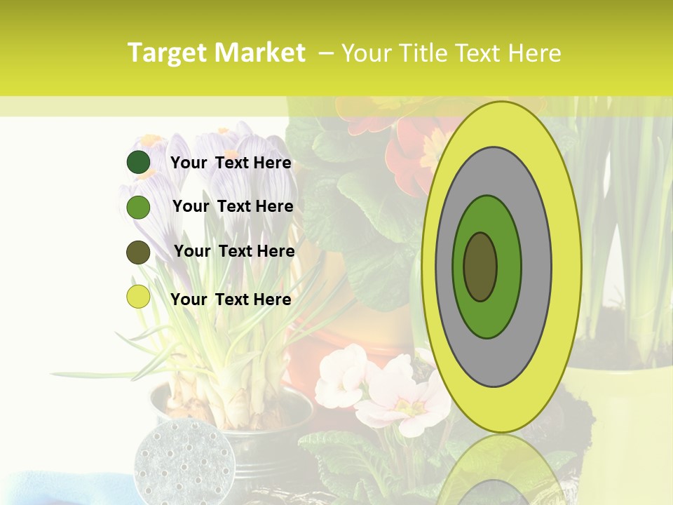 Red Plant Narcissus PowerPoint Template