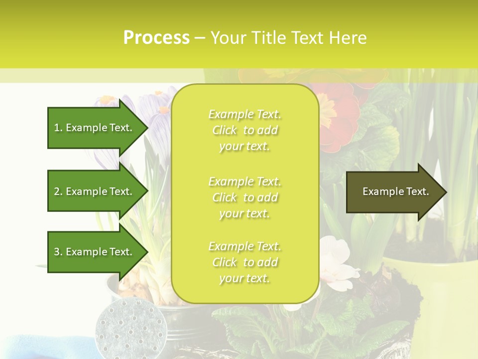 Red Plant Narcissus PowerPoint Template