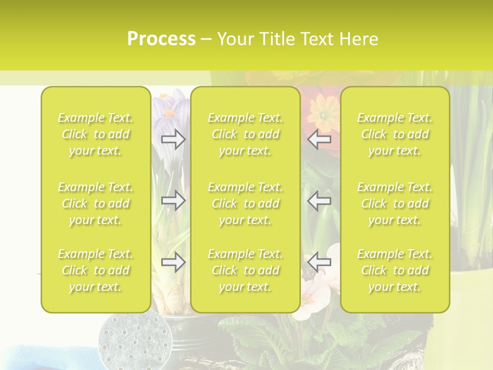 Red Plant Narcissus PowerPoint Template