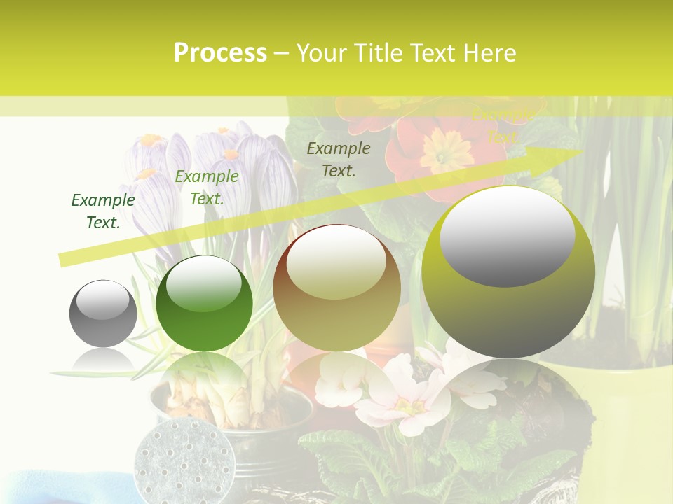 Red Plant Narcissus PowerPoint Template