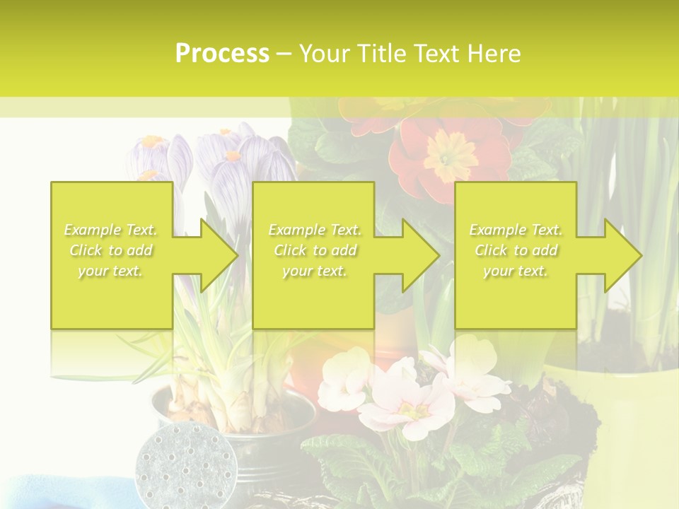 Red Plant Narcissus PowerPoint Template