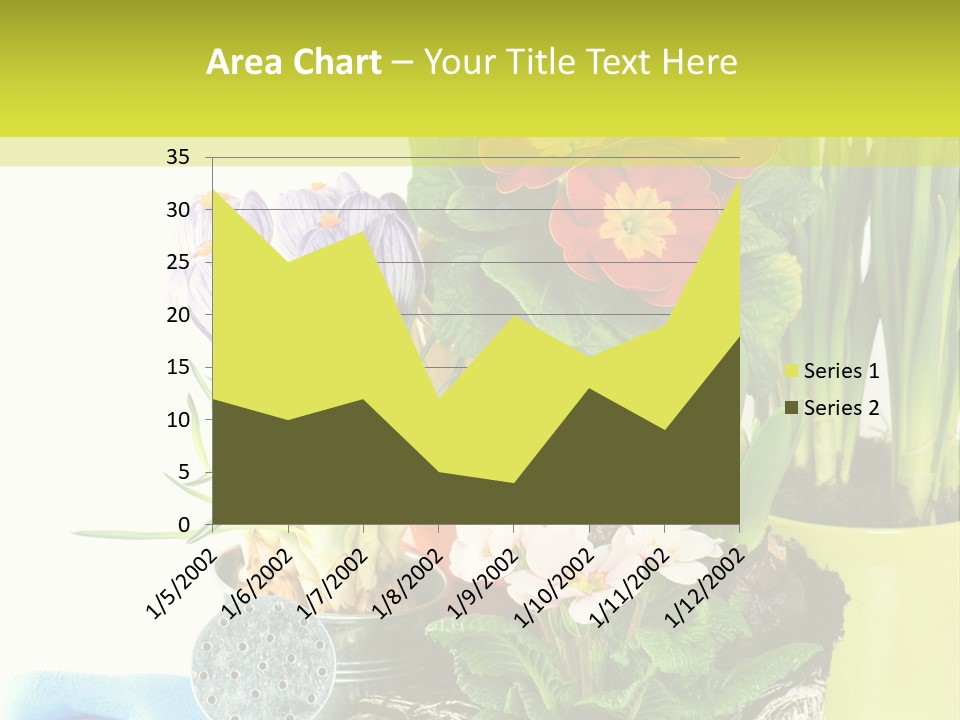 Red Plant Narcissus PowerPoint Template