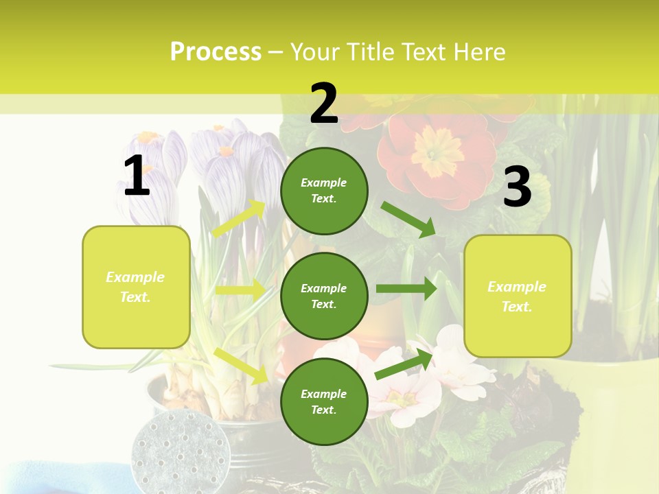 Red Plant Narcissus PowerPoint Template