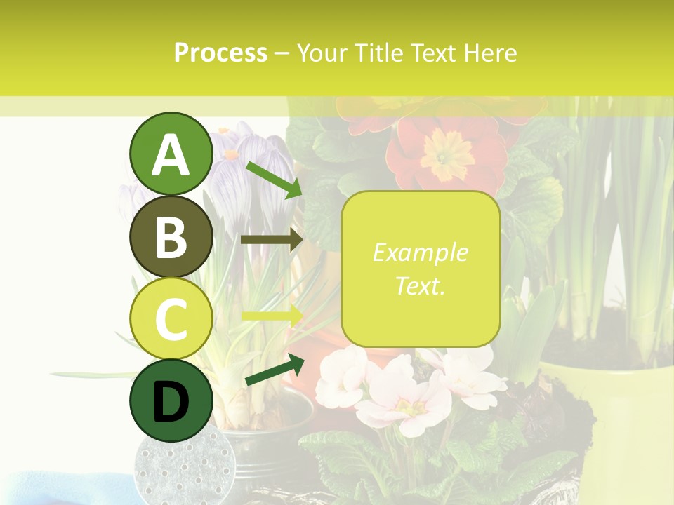 Red Plant Narcissus PowerPoint Template