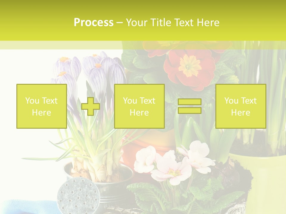 Red Plant Narcissus PowerPoint Template