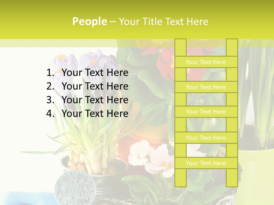 Red Plant Narcissus PowerPoint Template