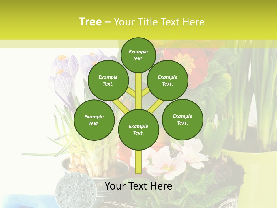 Red Plant Narcissus PowerPoint Template