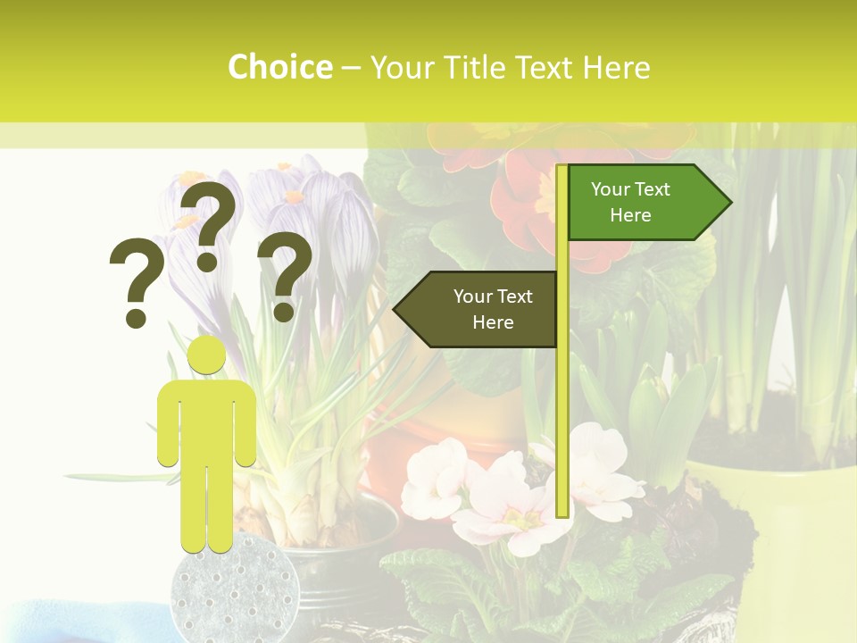 Red Plant Narcissus PowerPoint Template