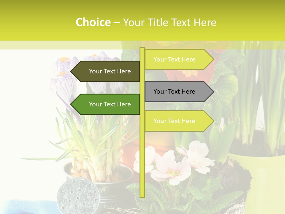 Red Plant Narcissus PowerPoint Template