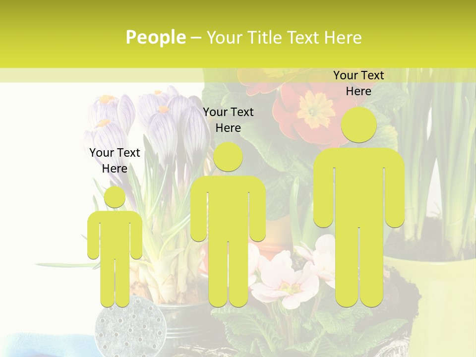 Red Plant Narcissus PowerPoint Template