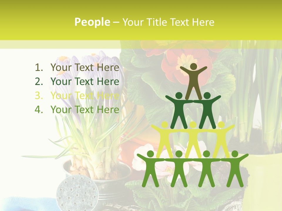 Red Plant Narcissus PowerPoint Template