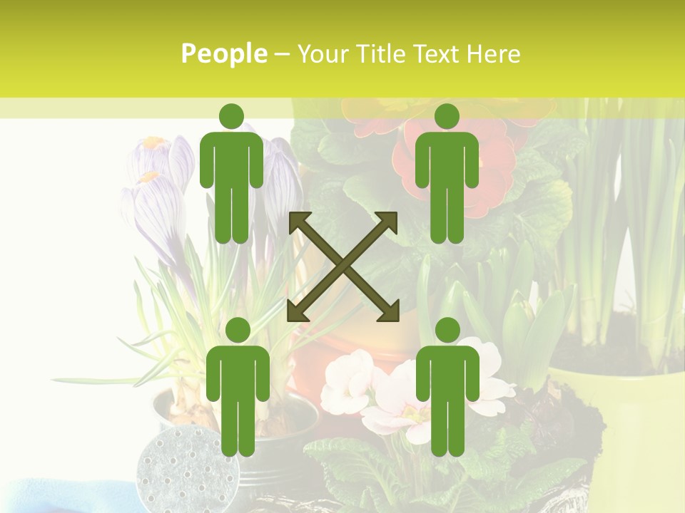 Red Plant Narcissus PowerPoint Template